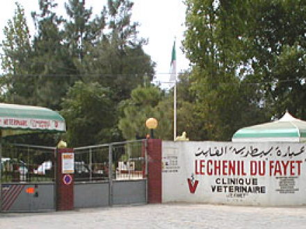 Chvc/ centre hospitalier vétérinaire & cynophile le fayet