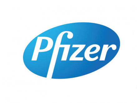 Pfizer saidal manufacturing